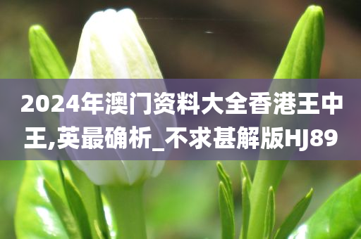 2024年澳门资料大全香港王中王,英最确析_不求甚解版HJ89