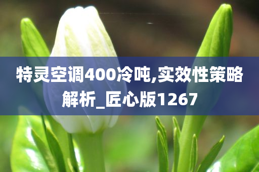 特灵空调400冷吨,实效性策略解析_匠心版1267