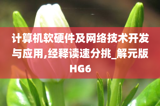 计算机软硬件及网络技术开发与应用,经释读速分挑_解元版HG6