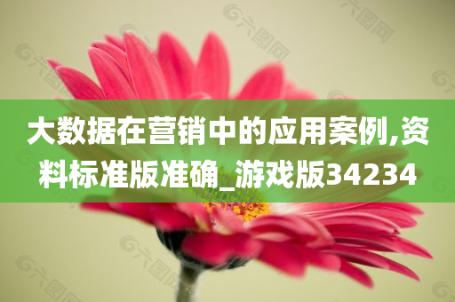 大数据在营销中的应用案例,资料标准版准确_游戏版34234