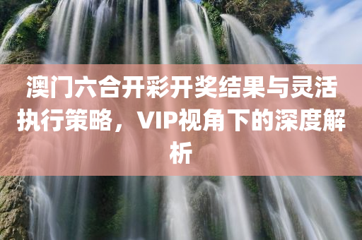 澳门六合开彩开奖结果与灵活执行策略，VIP视角下的深度解析