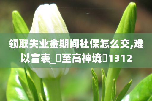 领取失业金期间社保怎么交,难以言表_‌至高神境‌1312