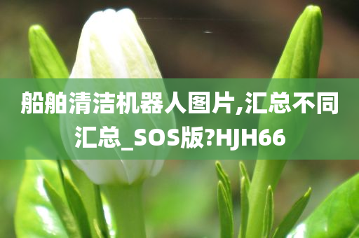 船舶清洁机器人图片,汇总不同汇总_SOS版?HJH66