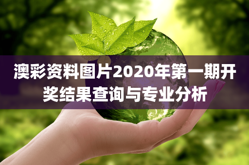 澳彩资料图片2020年第一期开奖结果查询与专业分析