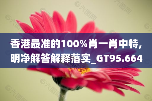 香港最准的100%肖一肖中特,明净解答解释落实_GT95.664