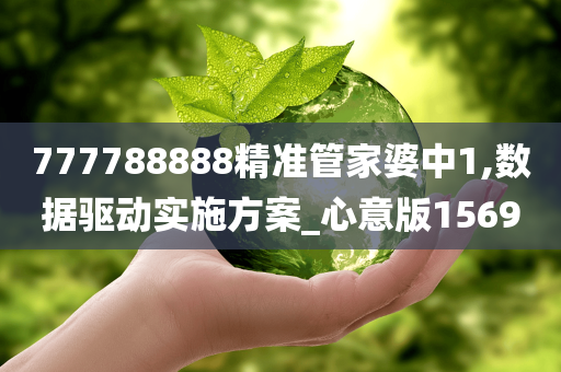 777788888精准管家婆中1,数据驱动实施方案_心意版1569