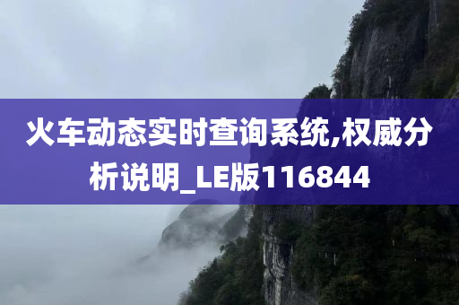 火车动态实时查询系统,权威分析说明_LE版116844