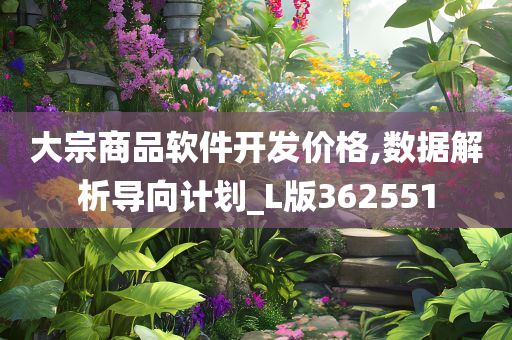 大宗商品软件开发价格,数据解析导向计划_L版362551