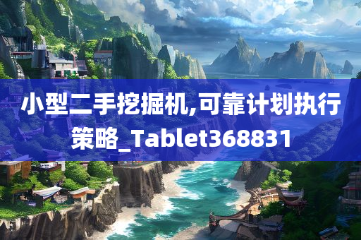 小型二手挖掘机,可靠计划执行策略_Tablet368831