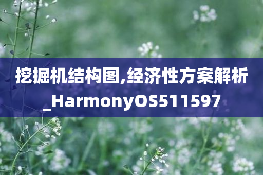 挖掘机结构图,经济性方案解析_HarmonyOS511597