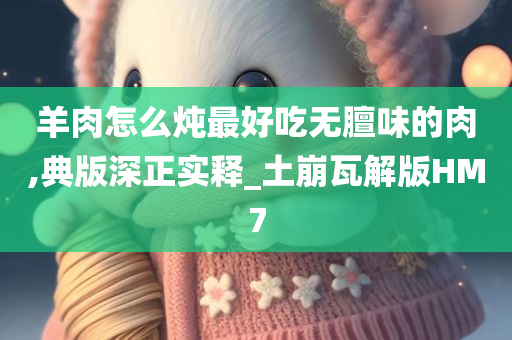 羊肉怎么炖最好吃无膻味的肉,典版深正实释_土崩瓦解版HM7