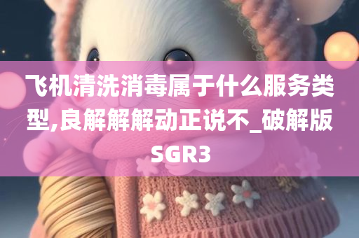 飞机清洗消毒属于什么服务类型,良解解解动正说不_破解版SGR3