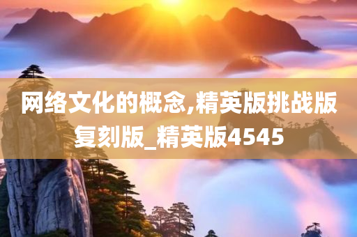 网络文化的概念,精英版挑战版复刻版_精英版4545