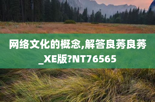 网络文化的概念,解答良莠良莠_XE版?NT76565