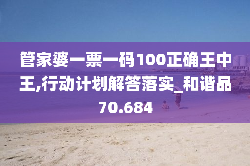 管家婆一票一码100正确王中王,行动计划解答落实_和谐品70.684