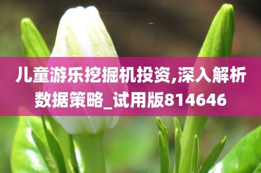 儿童游乐挖掘机投资,深入解析数据策略_试用版814646