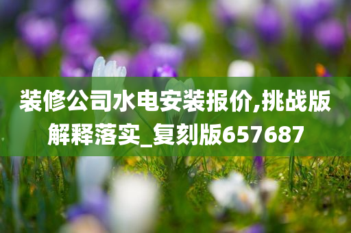 装修公司水电安装报价,挑战版解释落实_复刻版657687