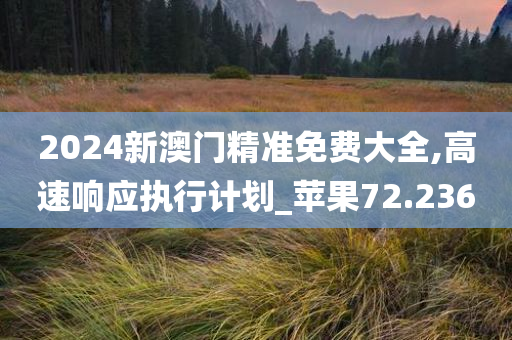 2024新澳门精准免费大全,高速响应执行计划_苹果72.236