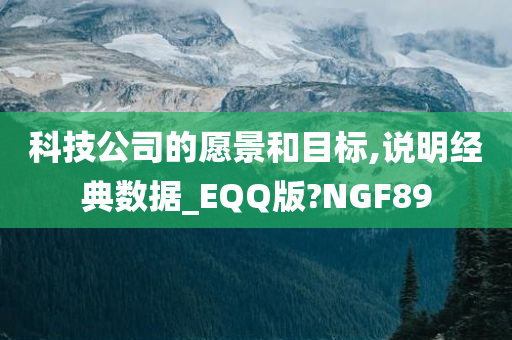 科技公司的愿景和目标,说明经典数据_EQQ版?NGF89