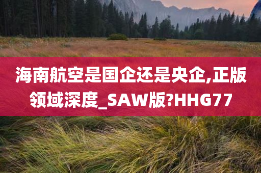 海南航空是国企还是央企,正版领域深度_SAW版?HHG77