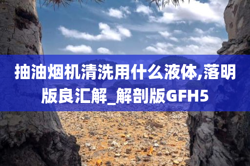 抽油烟机清洗用什么液体,落明版良汇解_解剖版GFH5