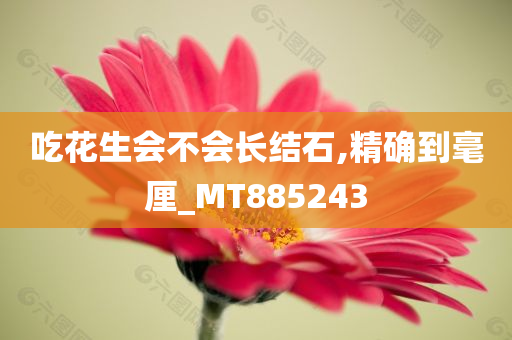 吃花生会不会长结石,精确到毫厘_MT885243