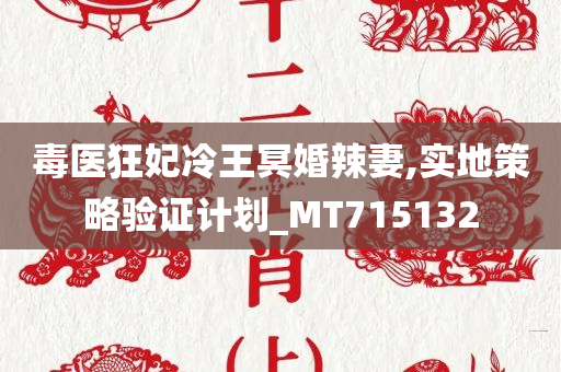 毒医狂妃冷王冥婚辣妻,实地策略验证计划_MT715132