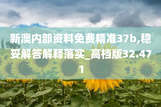 新澳内部资料免费精准37b,稳妥解答解释落实_高档版32.471