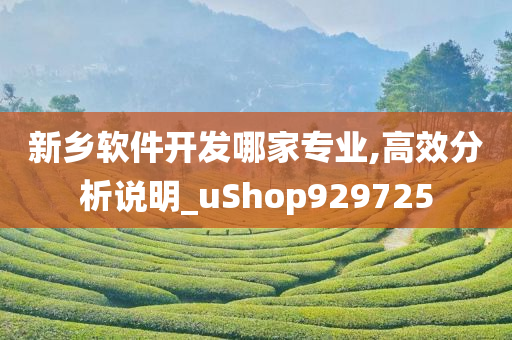 新乡软件开发哪家专业,高效分析说明_uShop929725