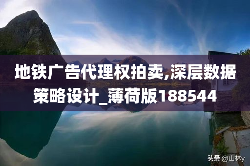 地铁广告代理权拍卖,深层数据策略设计_薄荷版188544