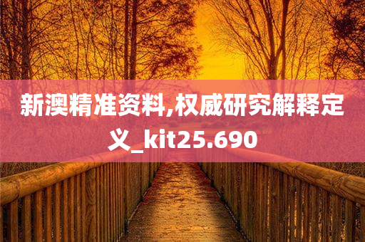 新澳精准资料,权威研究解释定义_kit25.690