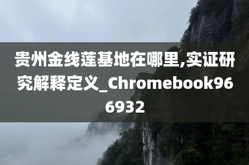 贵州金线莲基地在哪里,实证研究解释定义_Chromebook966932