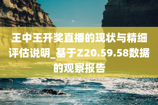 王中王开奖直播的现状与精细评估说明_基于Z20.59.58数据的观察报告