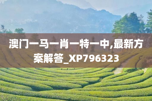 澳门一马一肖一特一中,最新方案解答_XP796323