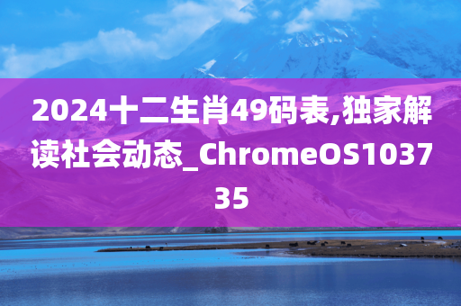 2024十二生肖49码表,独家解读社会动态_ChromeOS103735