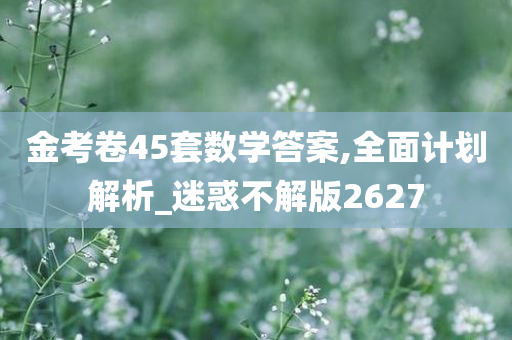 金考卷45套数学答案,全面计划解析_迷惑不解版2627