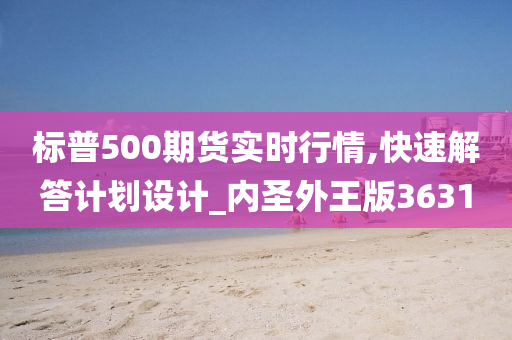 标普500期货实时行情,快速解答计划设计_内圣外王版3631