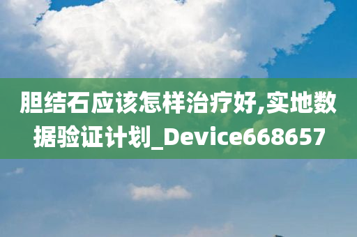 胆结石应该怎样治疗好,实地数据验证计划_Device668657