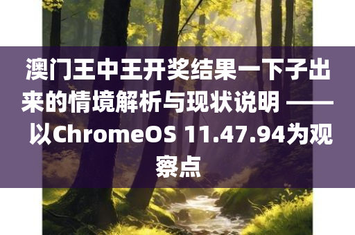 澳门王中王开奖结果一下子出来的情境解析与现状说明 —— 以ChromeOS 11.47.94为观察点