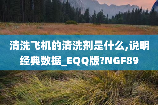 清洗飞机的清洗剂是什么,说明经典数据_EQQ版?NGF89