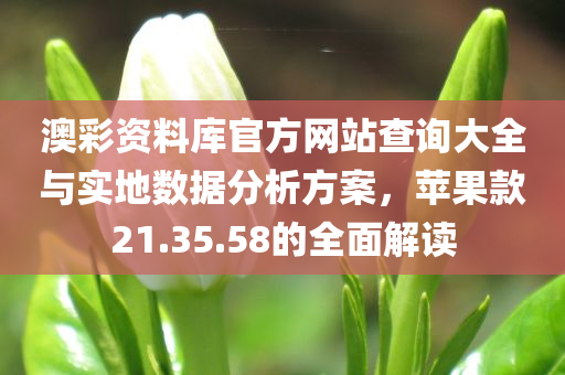 澳彩资料库官方网站查询大全与实地数据分析方案，苹果款21.35.58的全面解读