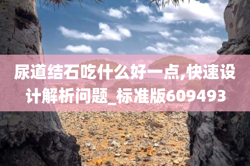 尿道结石吃什么好一点,快速设计解析问题_标准版609493