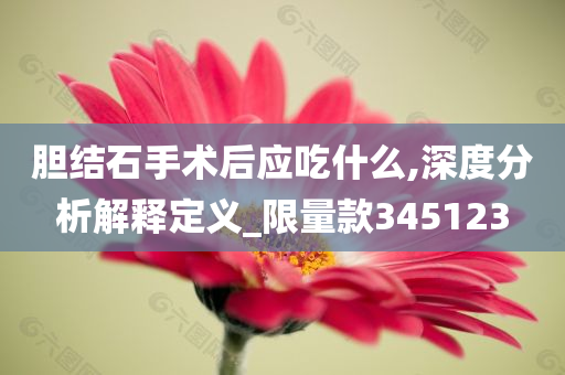 胆结石手术后应吃什么,深度分析解释定义_限量款345123