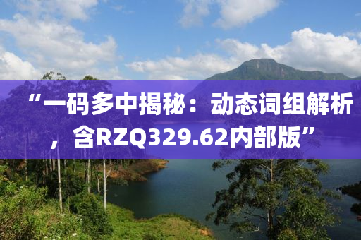 “一码多中揭秘：动态词组解析，含RZQ329.62内部版”