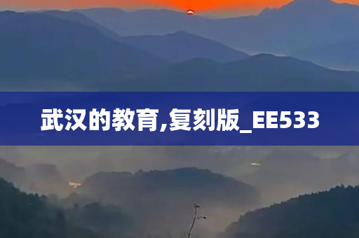 武汉的教育,复刻版_EE533