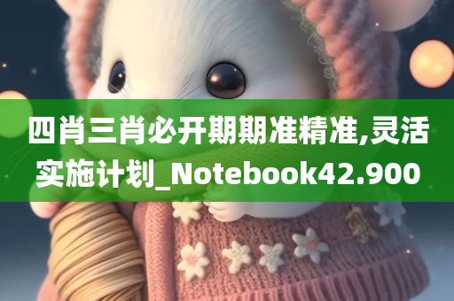 四肖三肖必开期期准精准,灵活实施计划_Notebook42.900