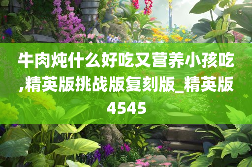 牛肉炖什么好吃又营养小孩吃,精英版挑战版复刻版_精英版4545