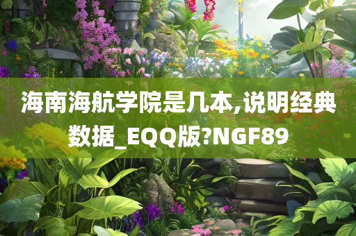 海南海航学院是几本,说明经典数据_EQQ版?NGF89