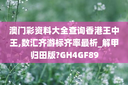 澳门彩资料大全查询香港王中王,数汇齐游标齐率最析_解甲归田版?GH4GF89