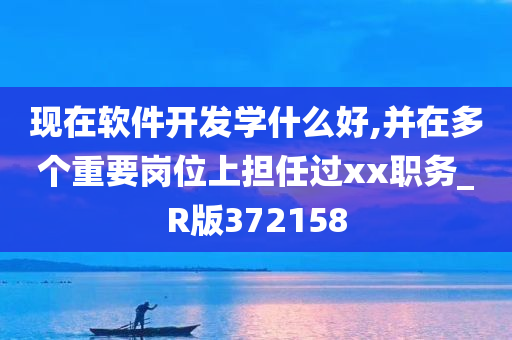 现在软件开发学什么好,并在多个重要岗位上担任过xx职务_R版372158